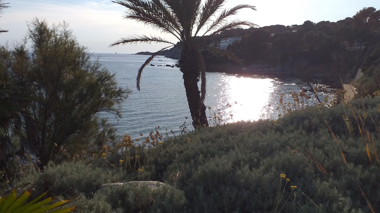Photo of Outdoor in Sanary-sur-Mer