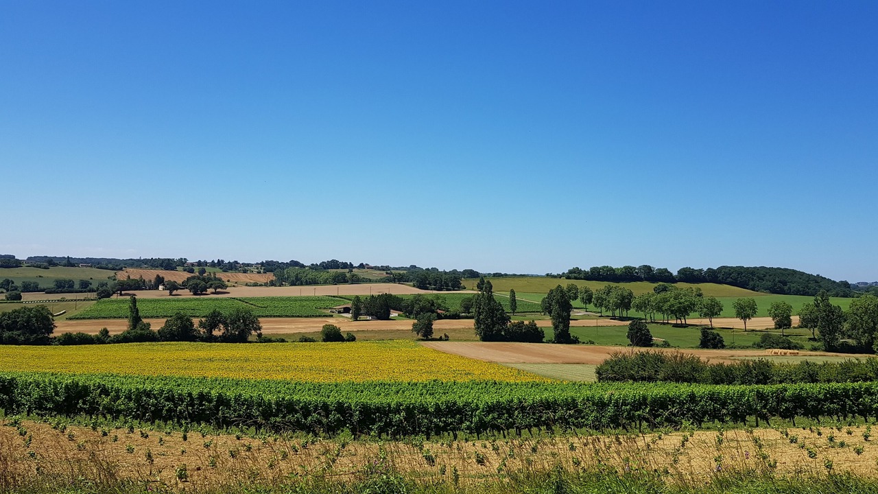Photo of Others in Castillon-Debats