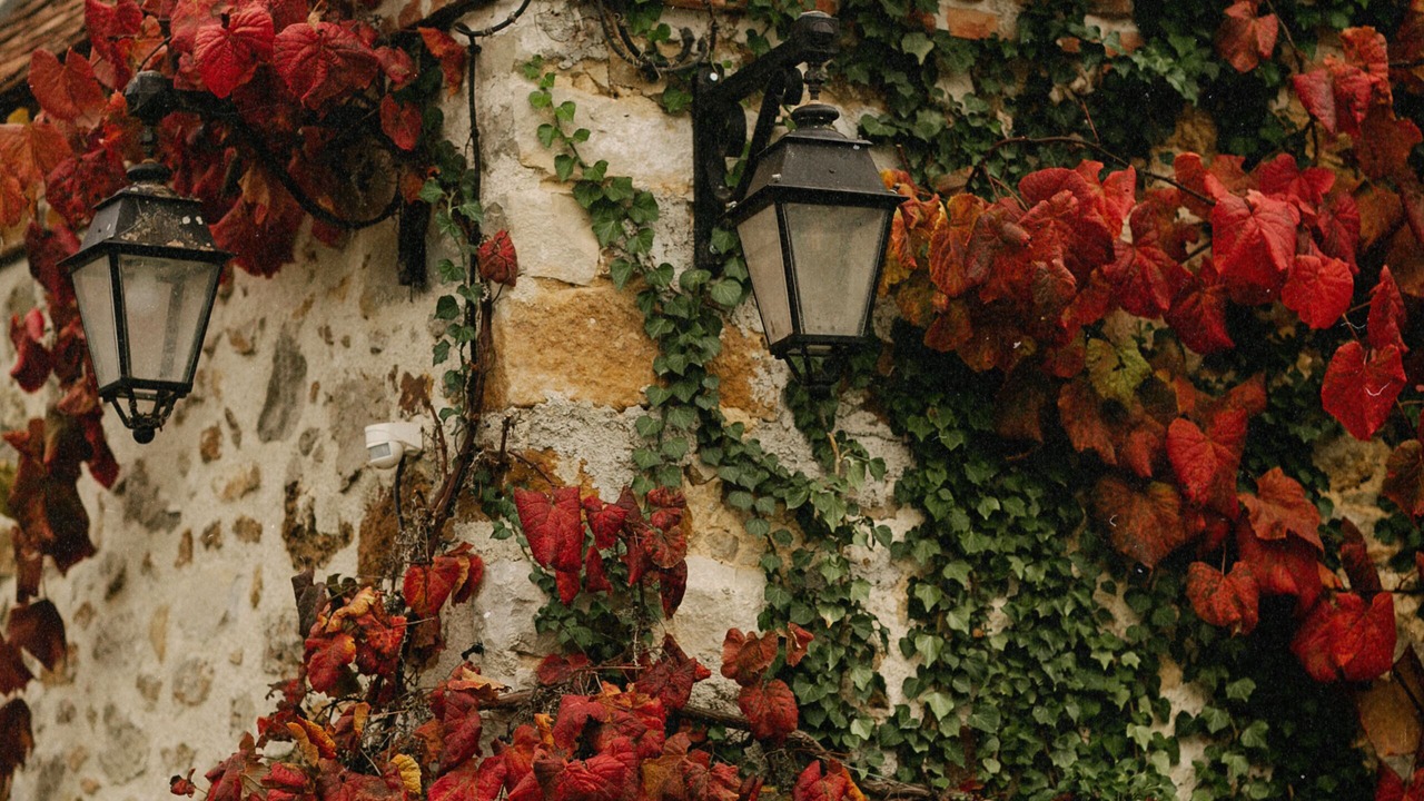 Photo of Outdoor in Marnay-sur-Seine