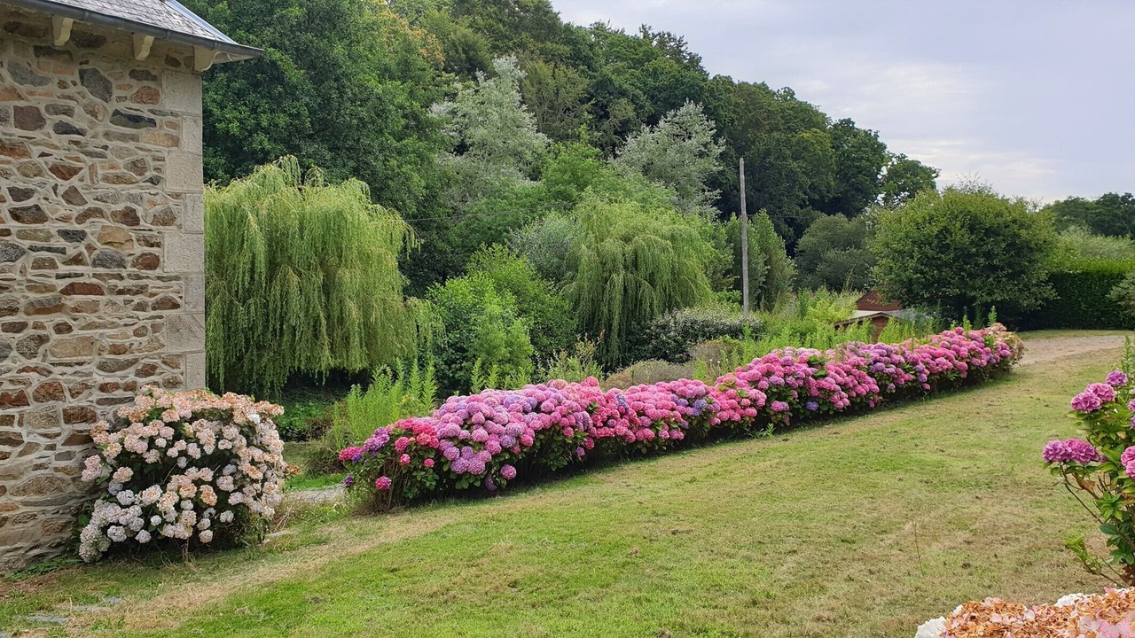 Photo of Outdoor in Cite