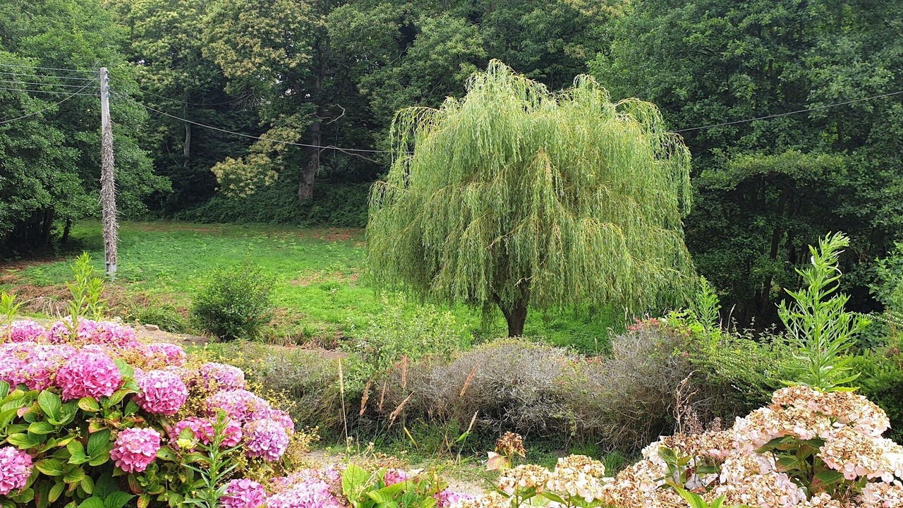 Photo of Outdoor in Cite
