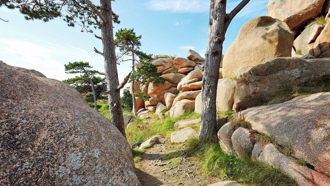 Photo of Outdoor in Trelevern
