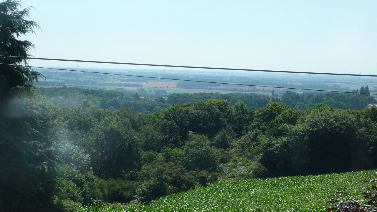 Photo of Others in Mur-de-Bretagne