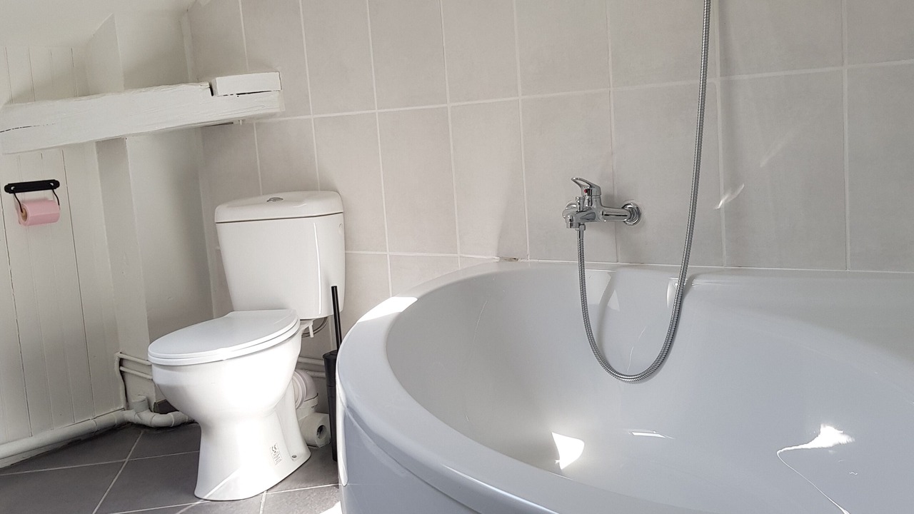 Photo of Bathroom in Dienville