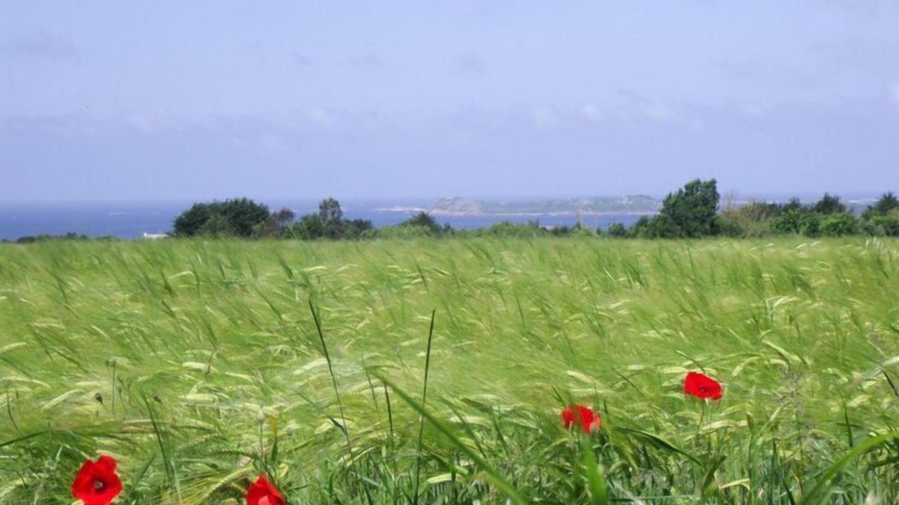 Photo of Others in Tredrez-Locquemeau