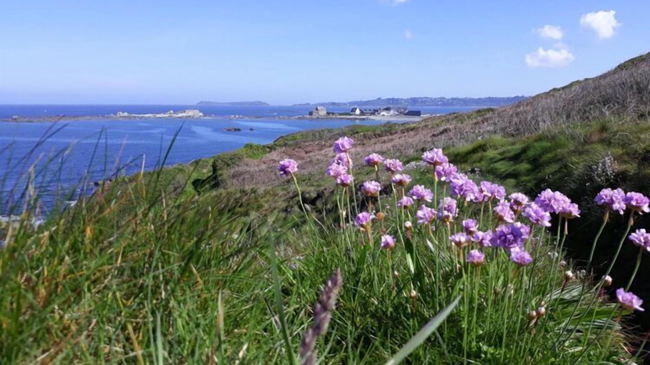Photo of Others in Tredrez-Locquemeau