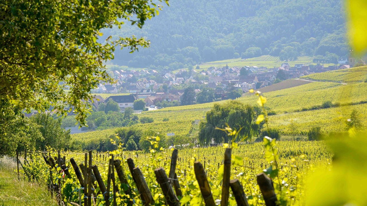 Photo of Outdoor in Riquewihr
