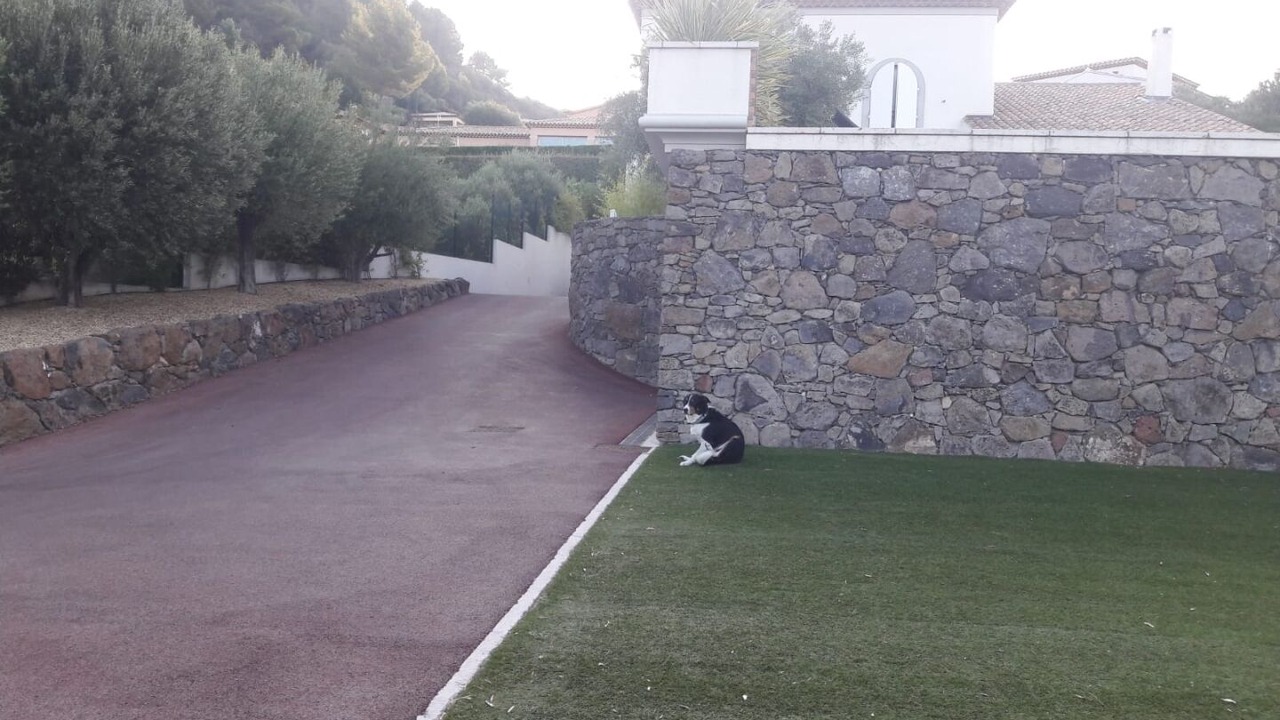 Photo of Outdoor in Ollioules