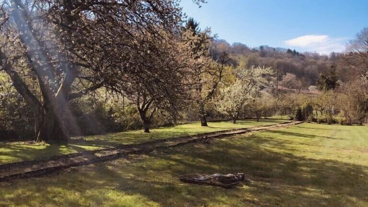 Photo of Outdoor in Saint-Maurice-sous-les-Cotes