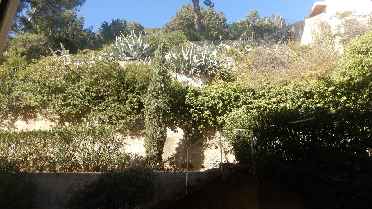 Photo of Outdoor in Bandol