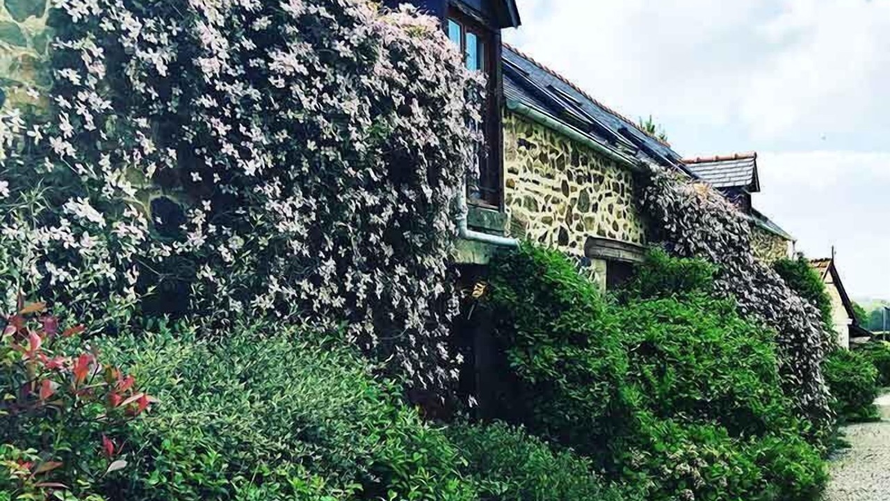 Photo of Outdoor in Henansal