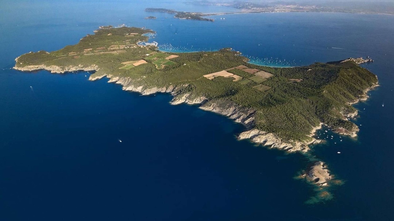 Photo of Outdoor in Hyeres