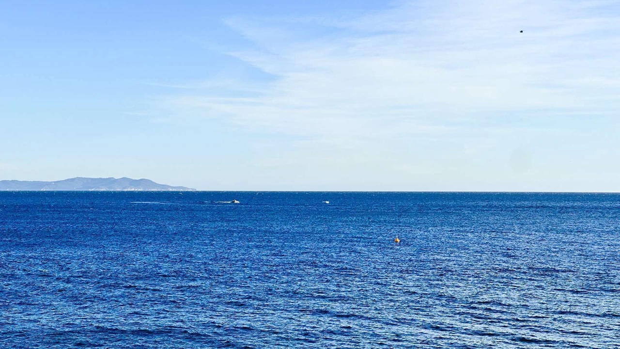 Photo of Others in Hyeres