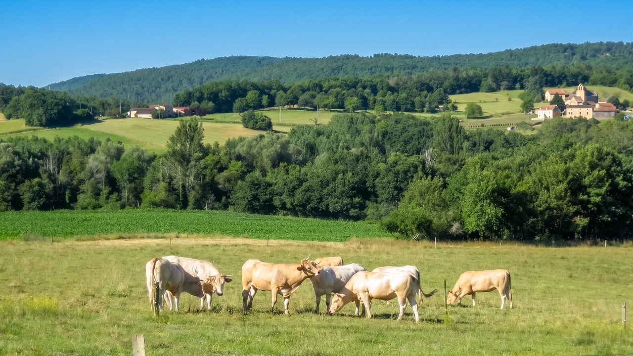 Photo of Outdoor in La Masse