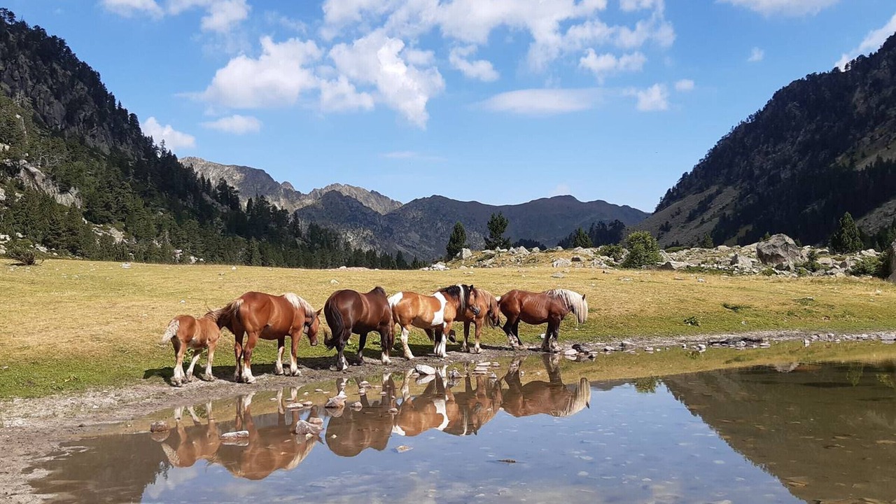 Photo of Others in Cauterets