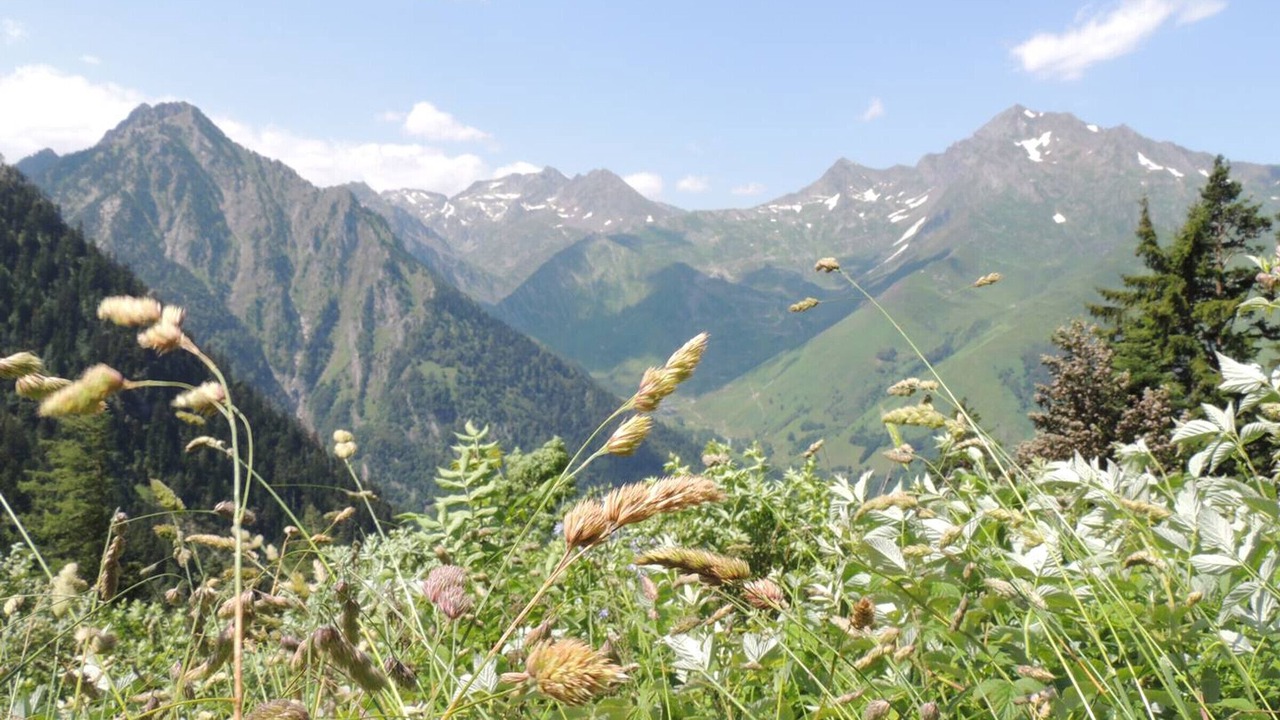 Photo of Outdoor in Cauterets