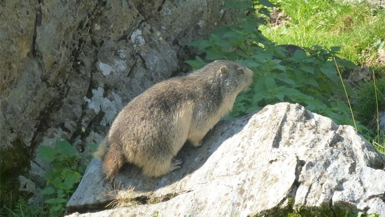 Photo of Outdoor in Cauterets