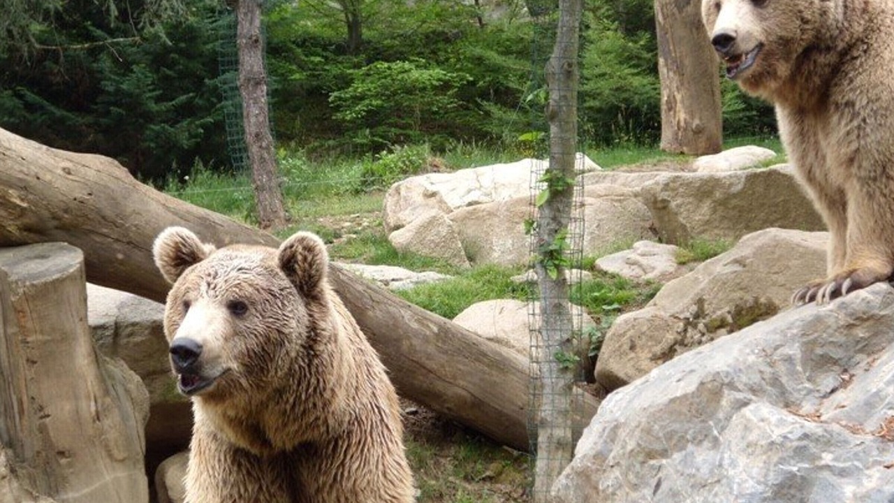 Photo of Others in Cauterets