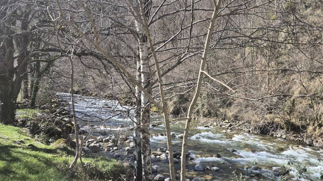 Photo of Others in Cauterets