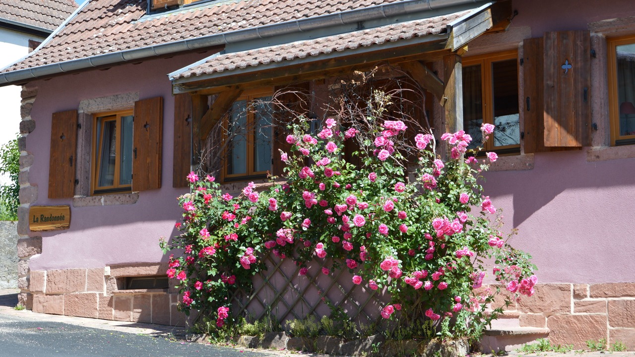 Photo of Outdoor in Thannenkirch