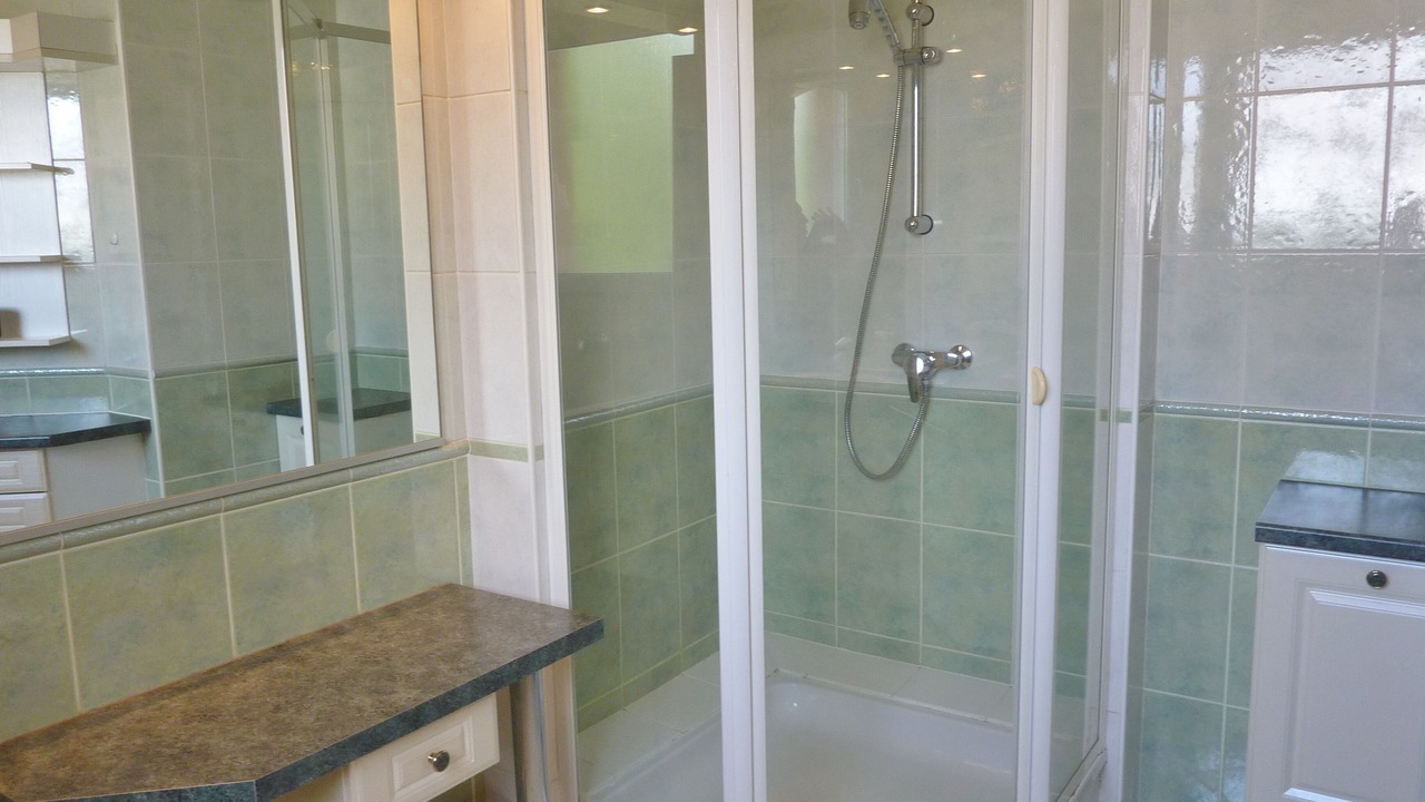 Photo of Bathroom in Damelevieres