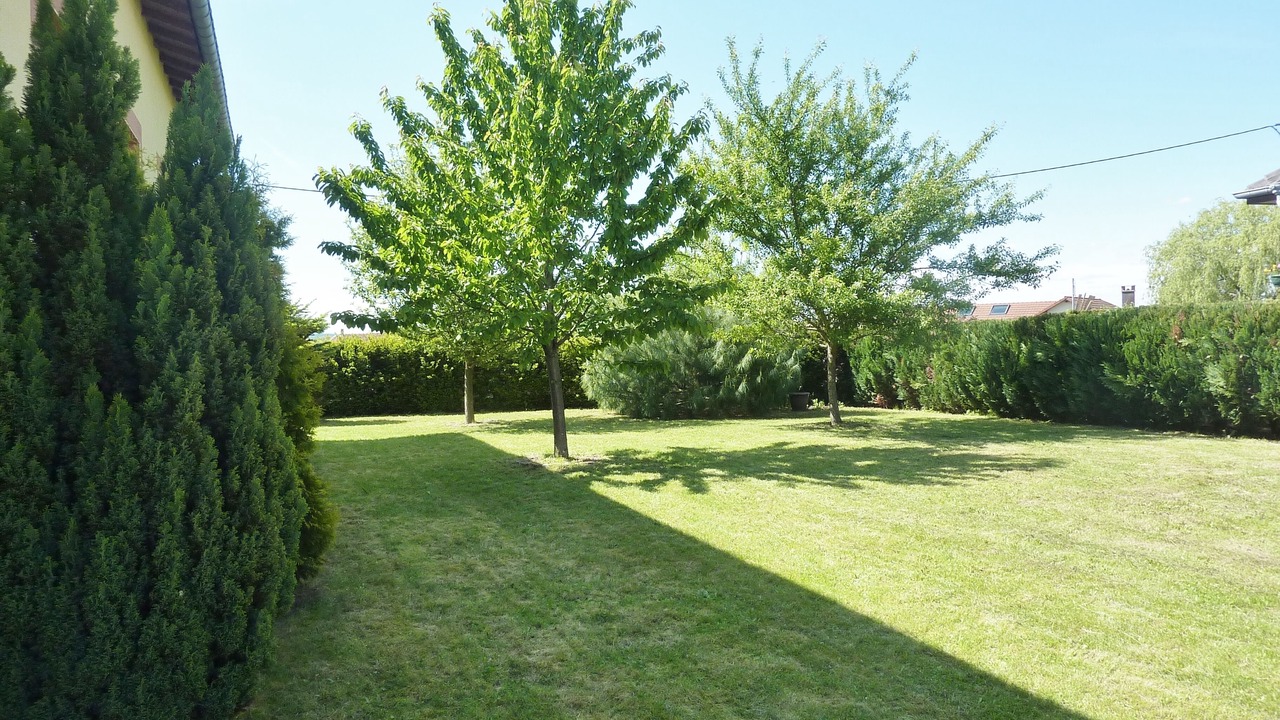 Photo of Outdoor in Damelevieres