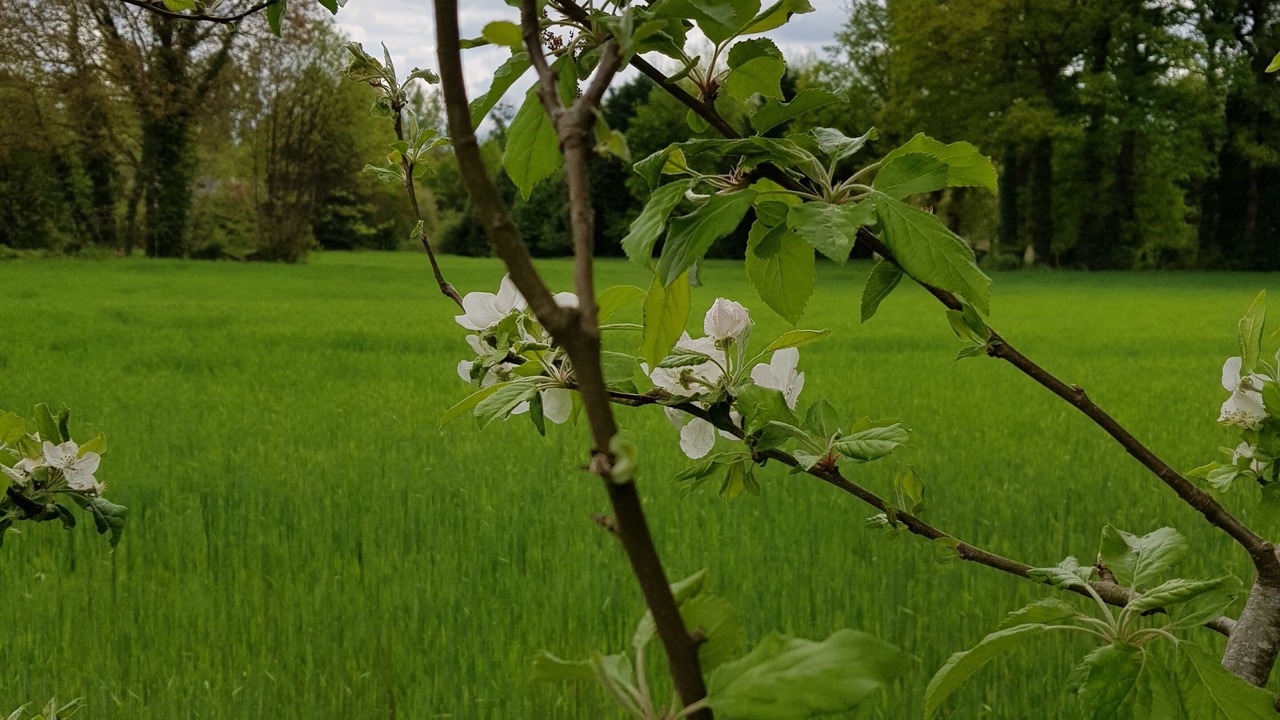 Photo of Outdoor in Evran