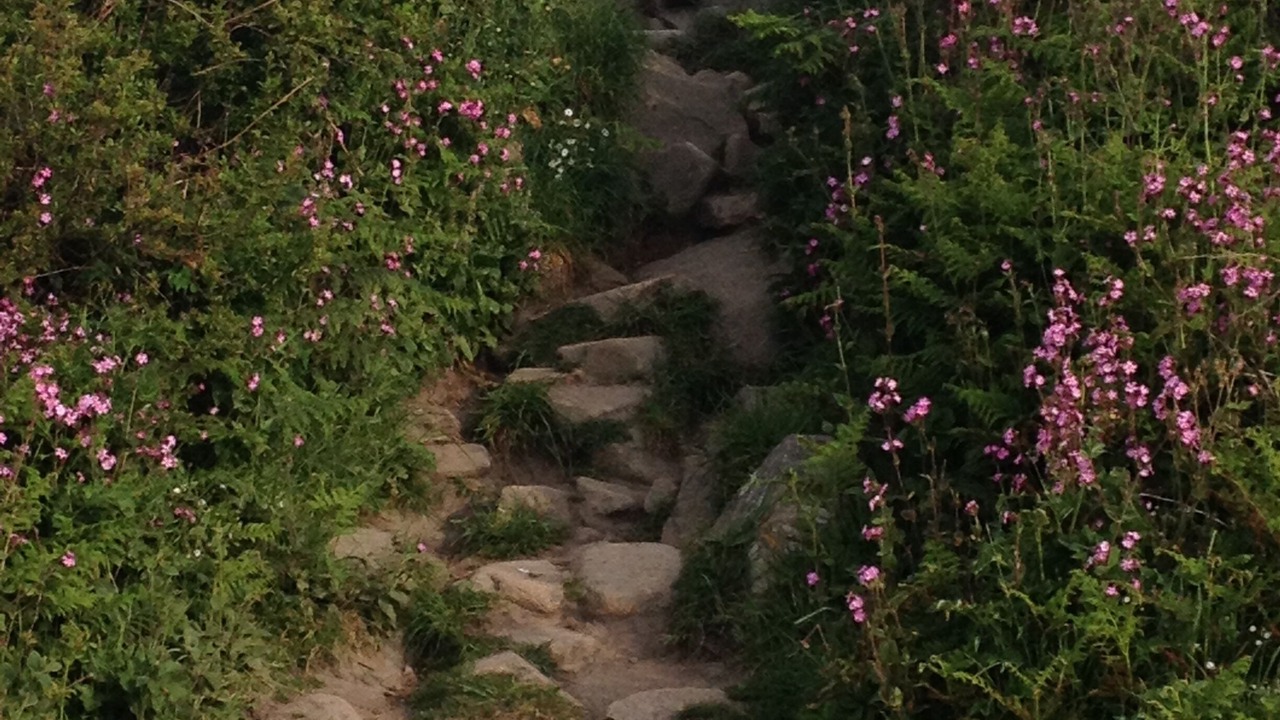Photo of Outdoor in Plougasnou