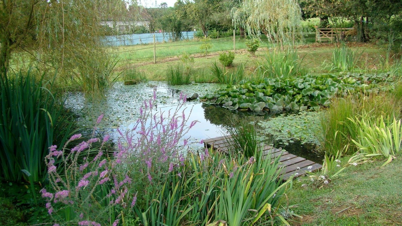 Photo of Outdoor in Lascazeres
