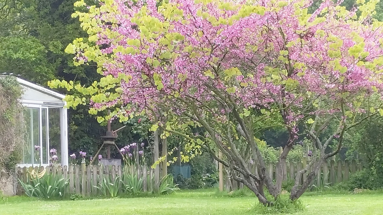 Photo of Outdoor in Plourhan