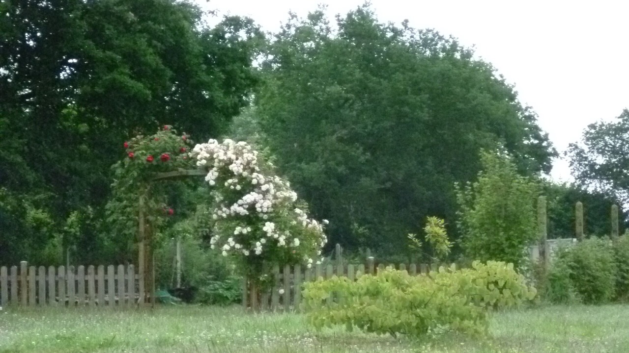 Photo of Outdoor in Plourhan