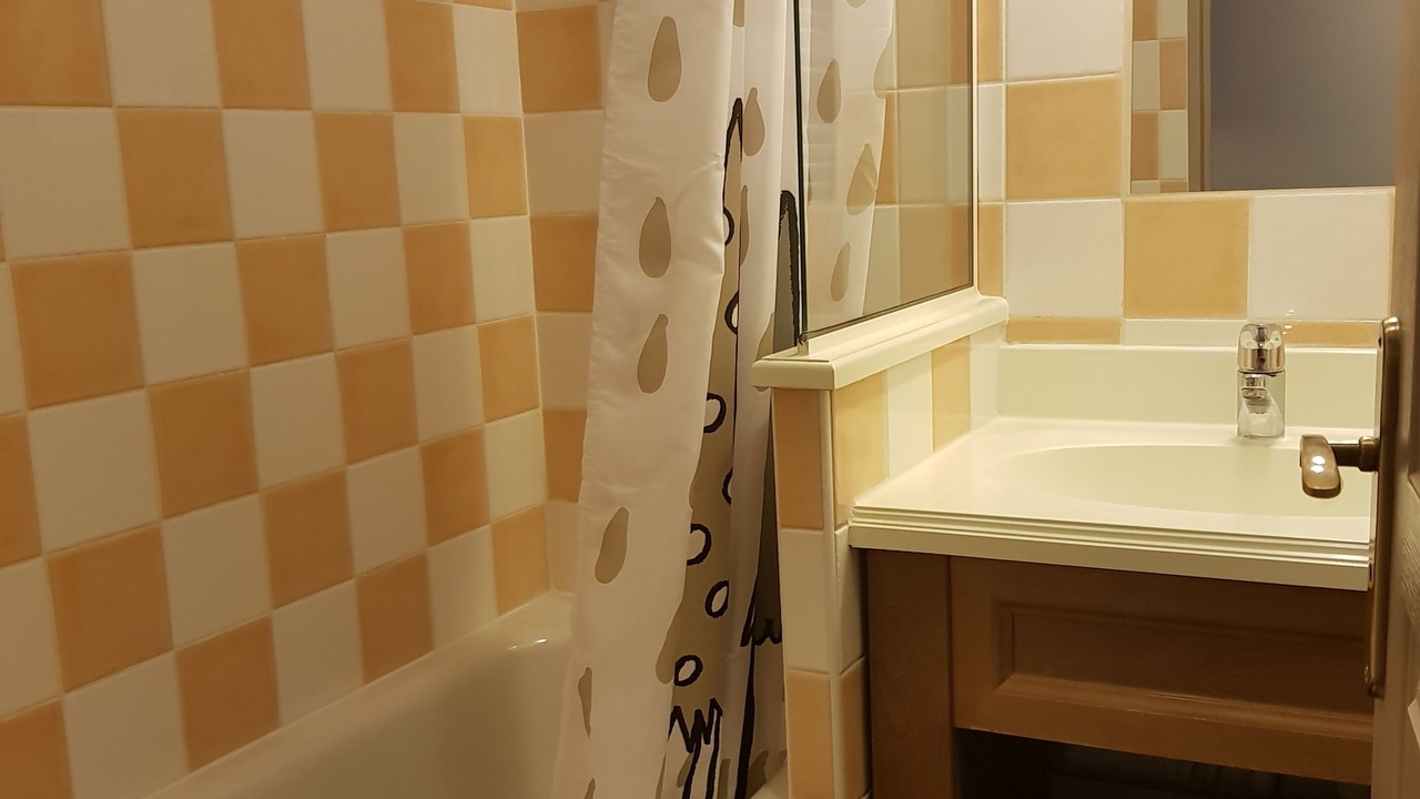Photo of Bathroom in Les Claux