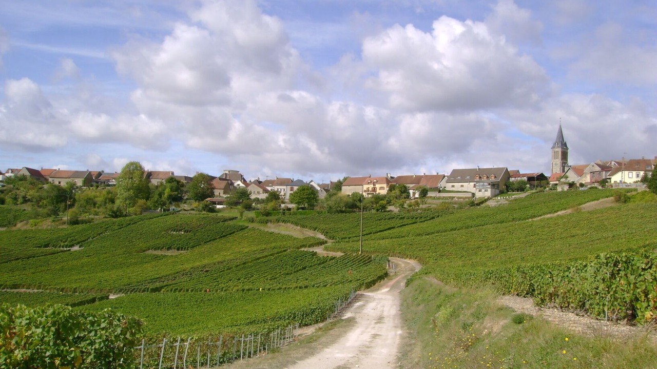 Photo of Others in Broyes