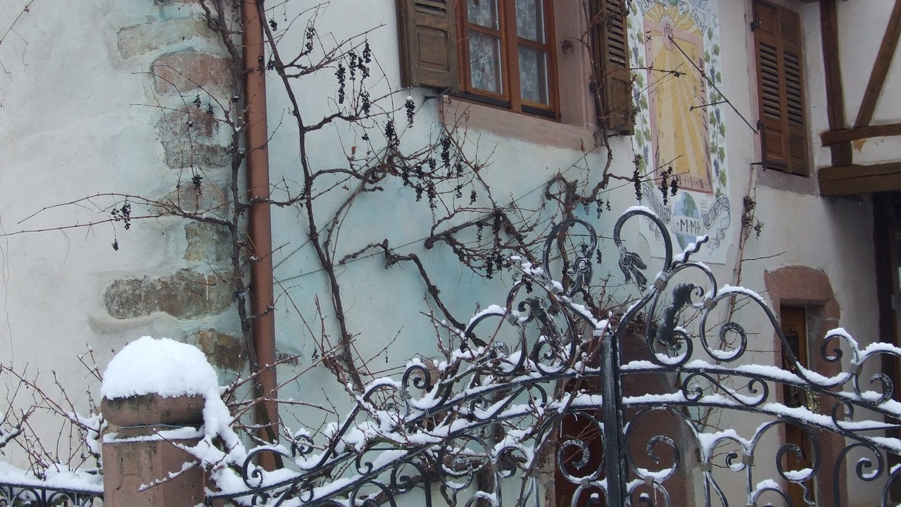 Photo of Outdoor in Triembach-au-Val