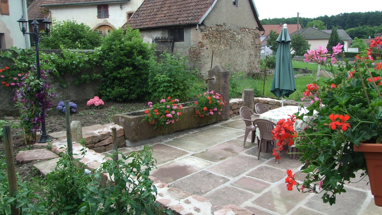 Photo of Outdoor in Triembach-au-Val
