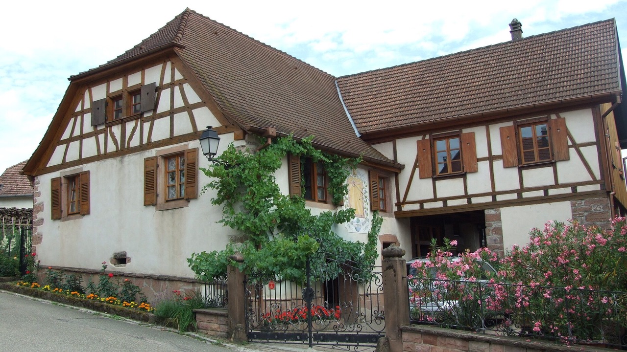 Photo of Outdoor in Triembach-au-Val