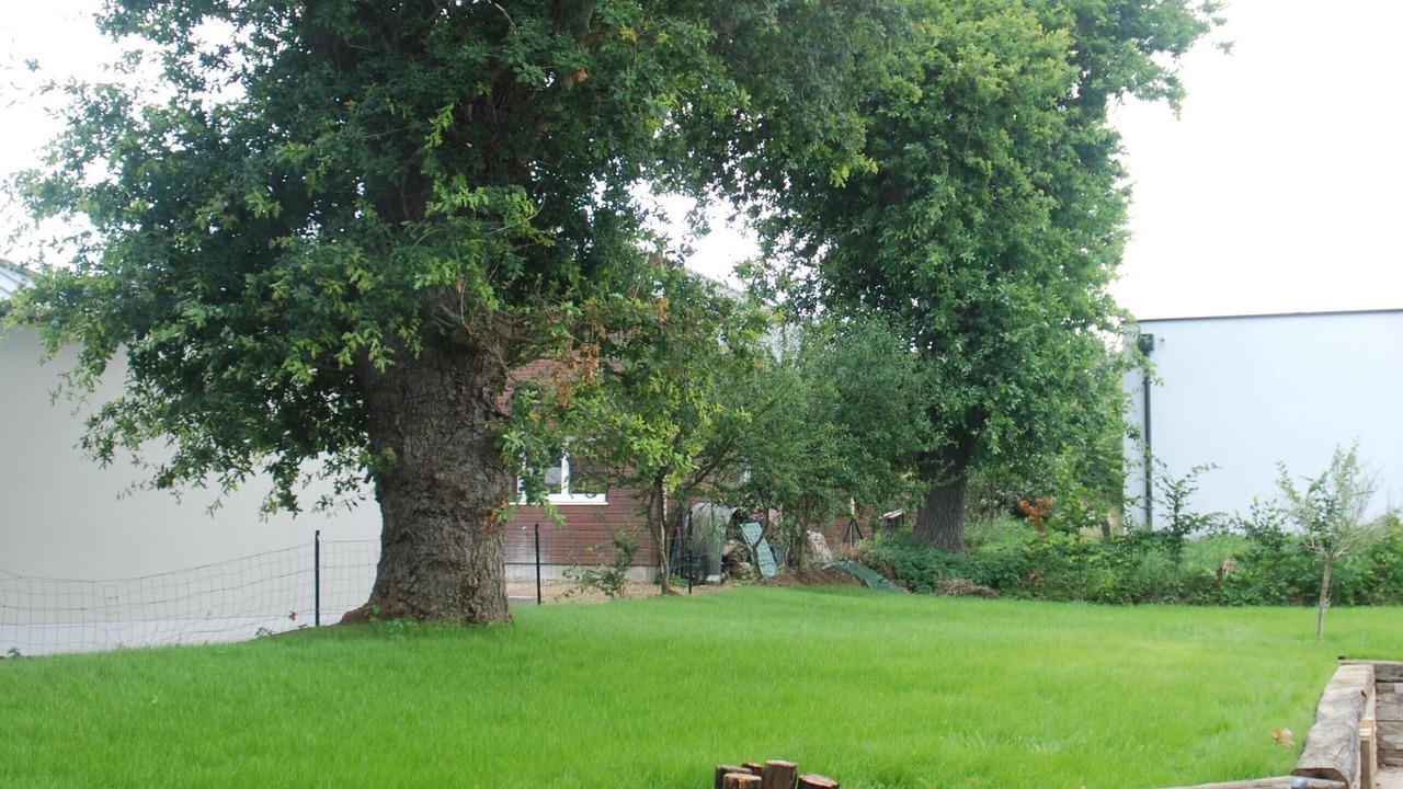 Photo of Outdoor in Treveneuc