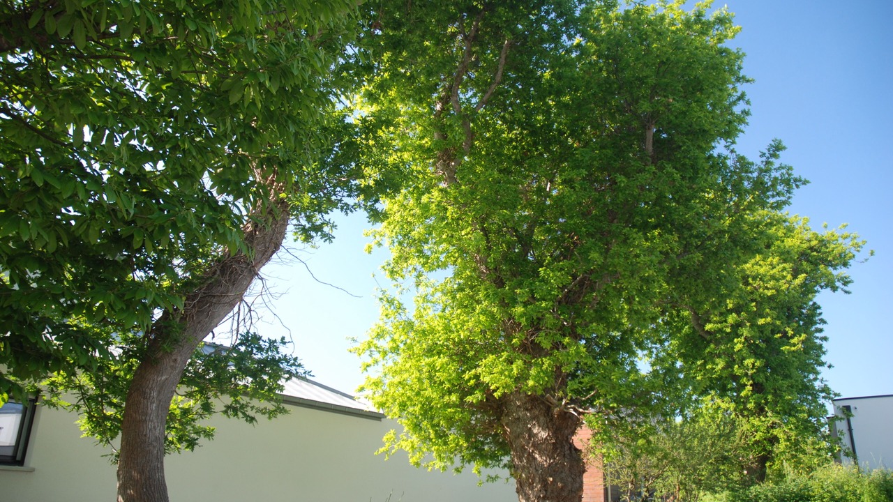 Photo of Outdoor in Treveneuc