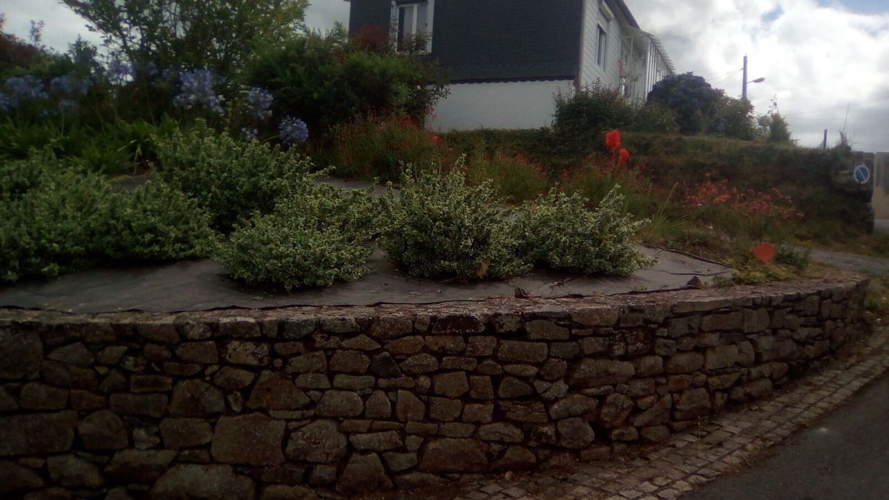 Photo of Outdoor in Plelo
