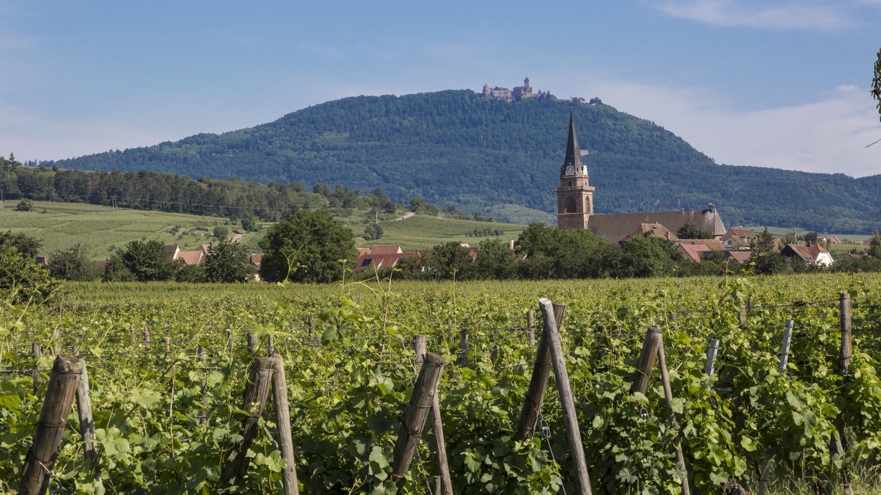 Photo of Outdoor in Bergheim