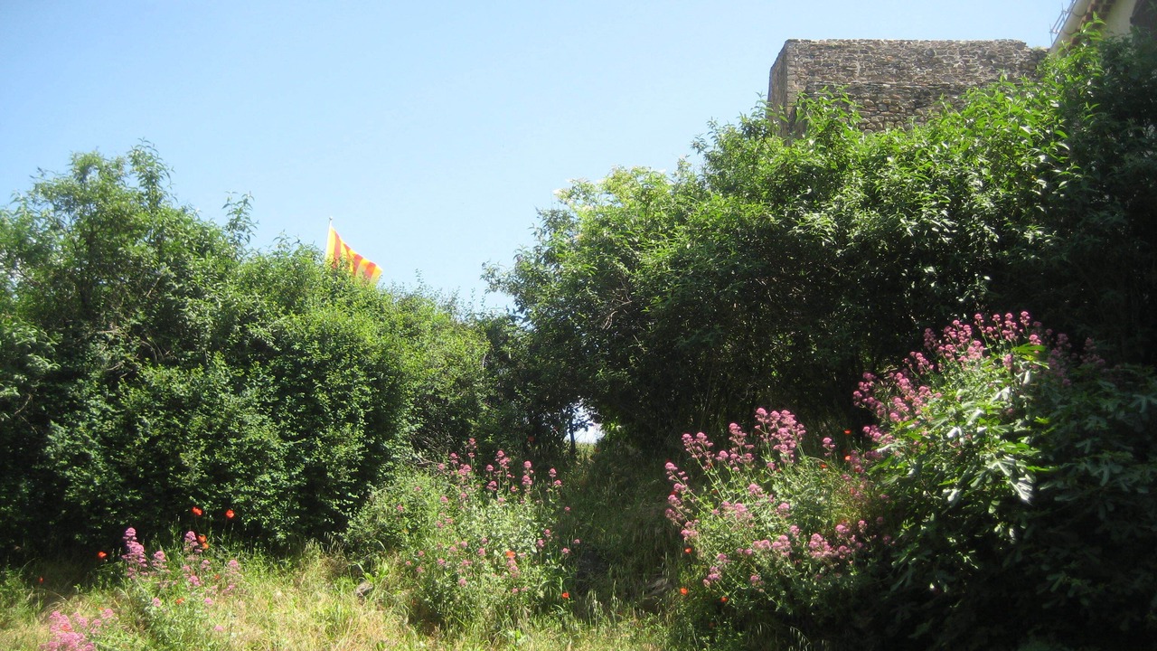 Photo of Outdoor in Collobrieres