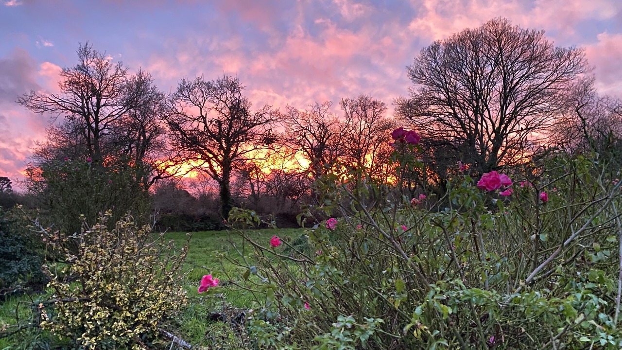Photo of Outdoor in Trebeurden