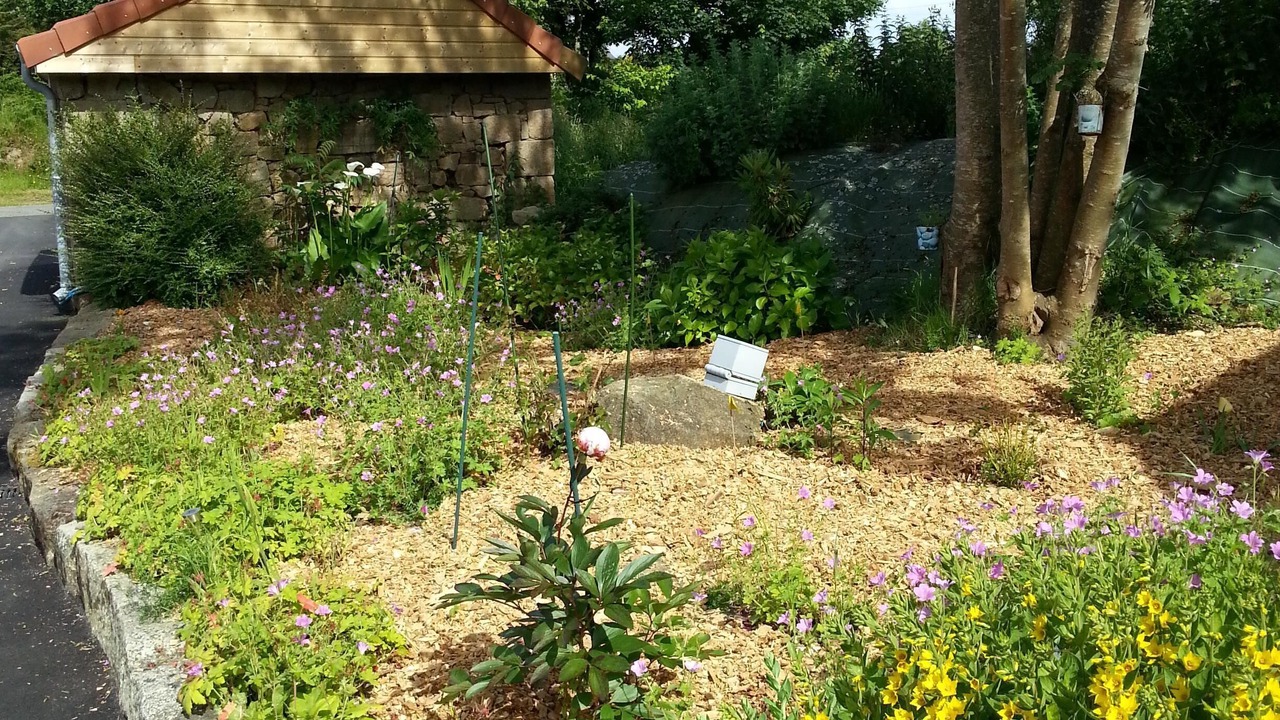 Photo of Outdoor in Trebeurden