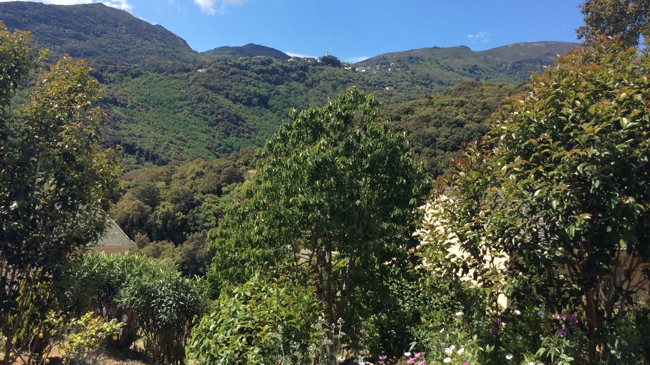 Photo of Outdoor in Figarella
