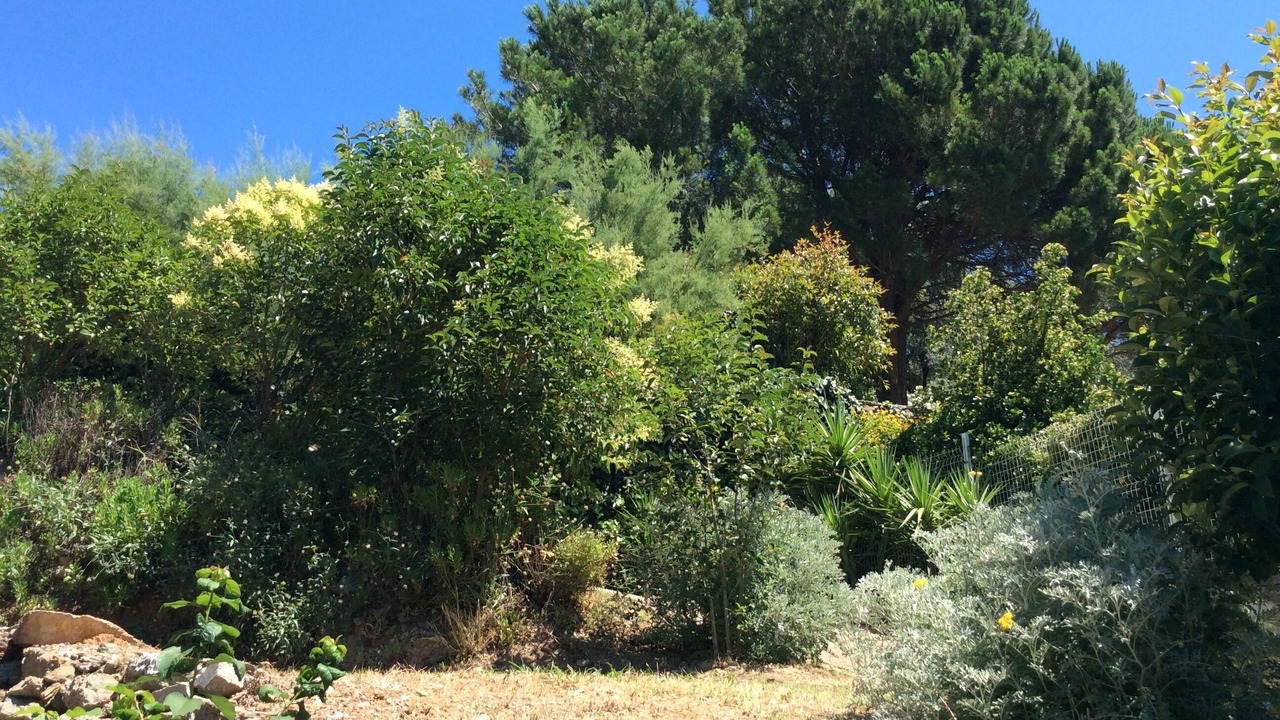 Photo of Outdoor in Figarella