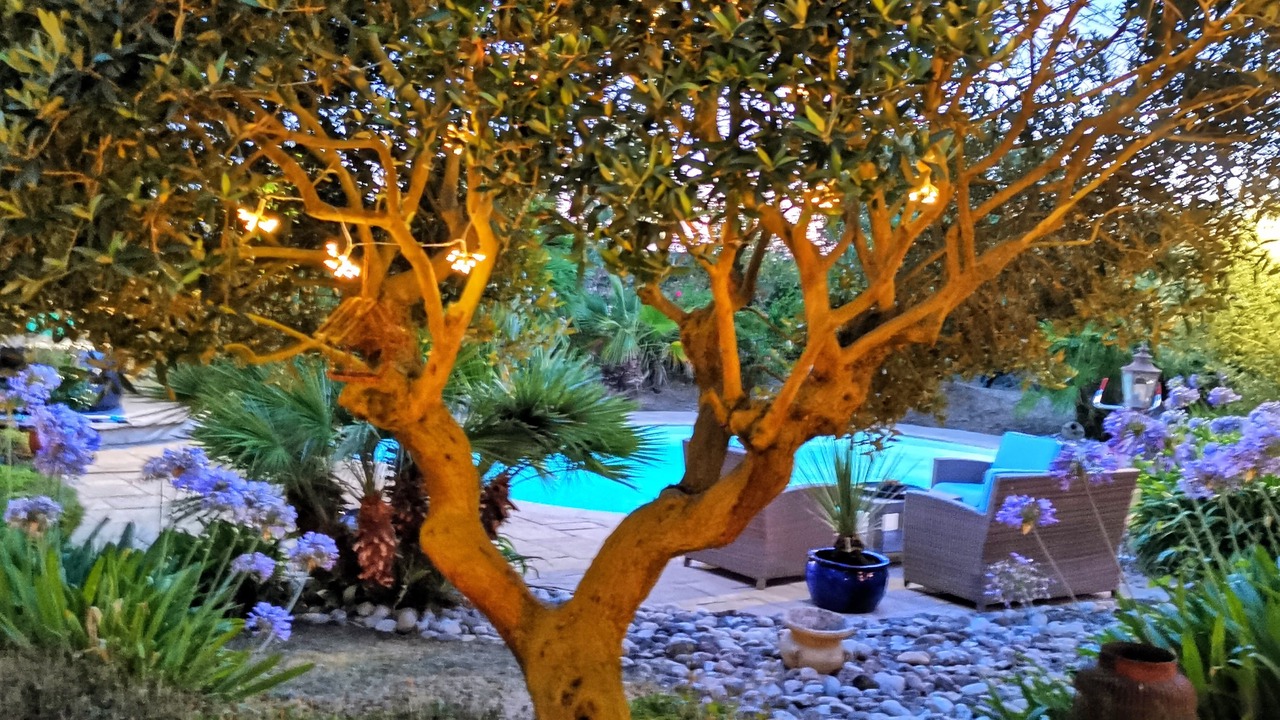 Photo of Outdoor in Pommeret
