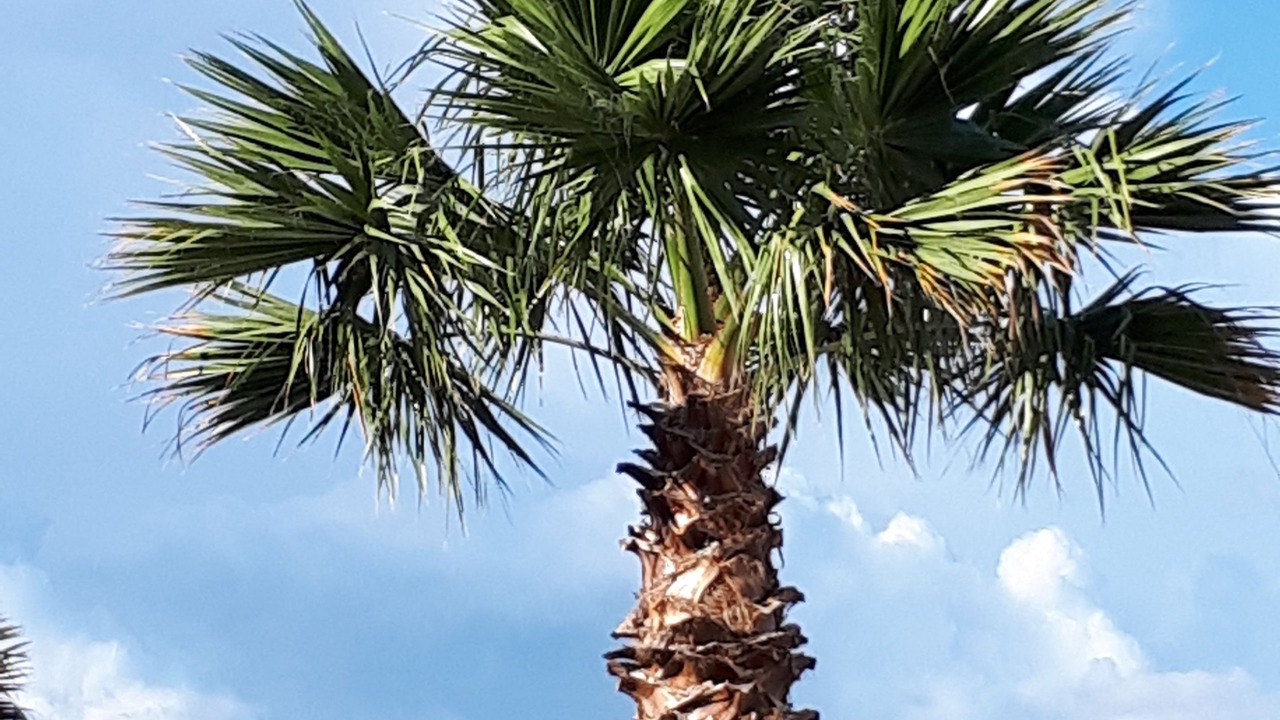 Photo of Outdoor in La Bouverie