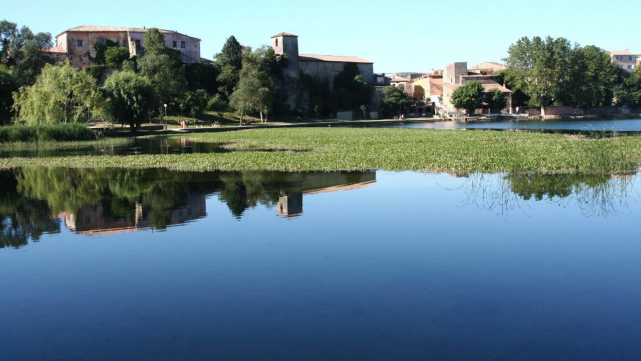 Photo of Outdoor in Besse-sur-Issole