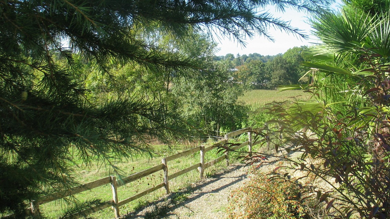 Photo of Outdoor in Madiran