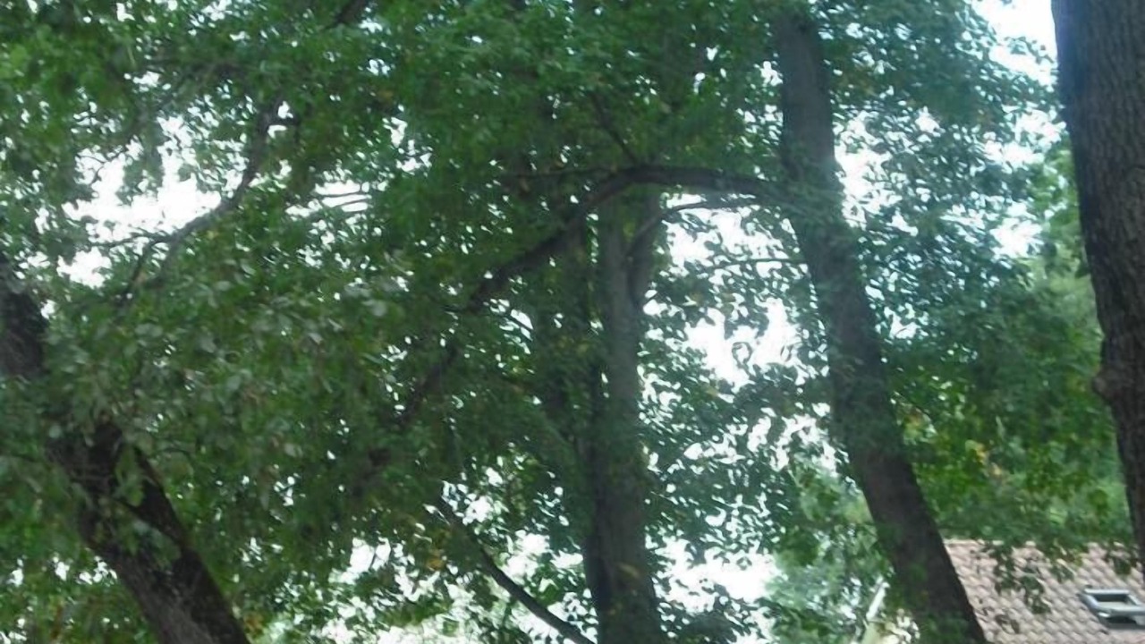 Photo of Outdoor in Madiran